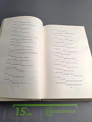 Русские поэты. Том четвертый