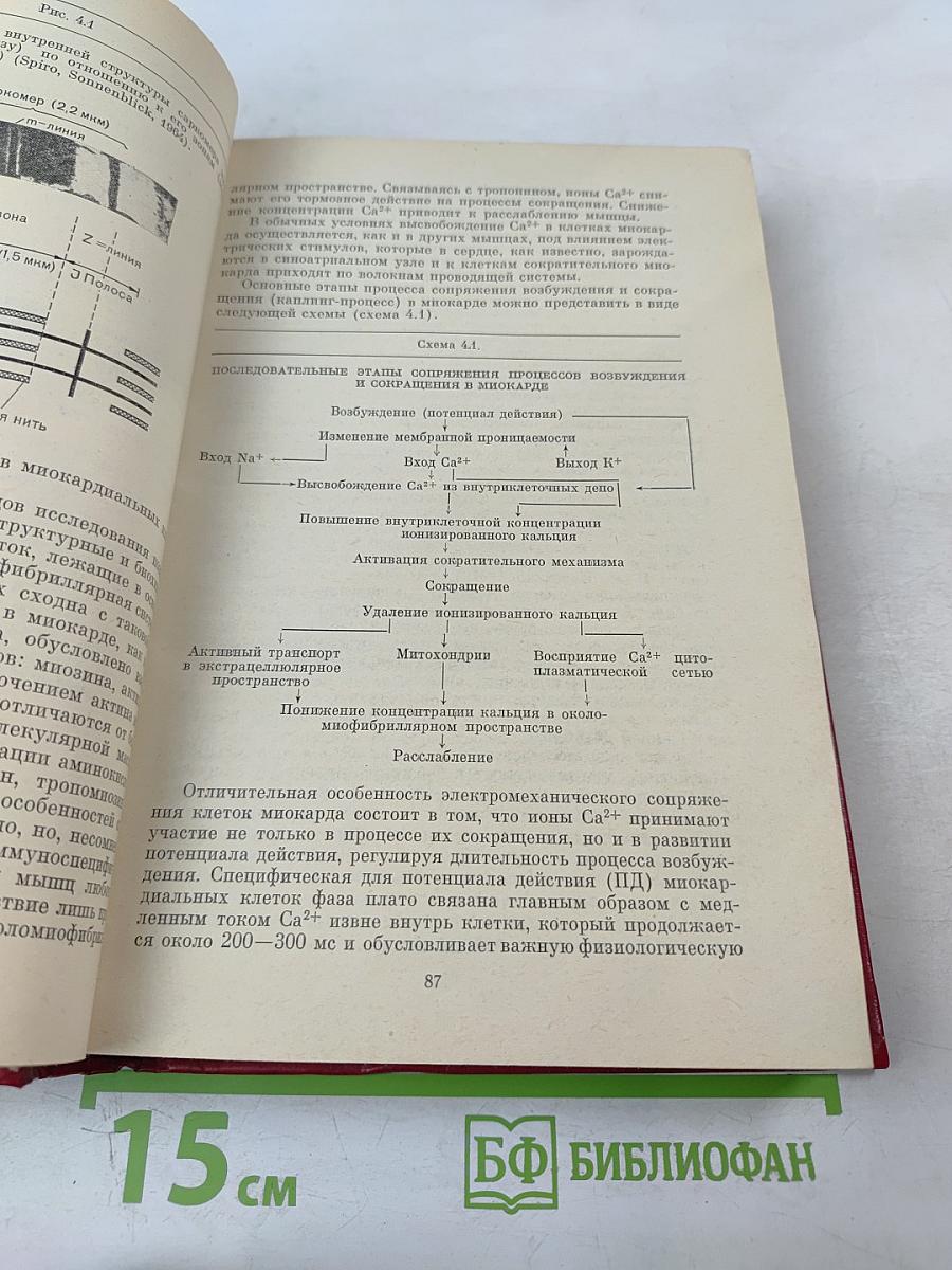 Превентивная кардиология
