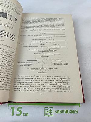 Превентивная кардиология