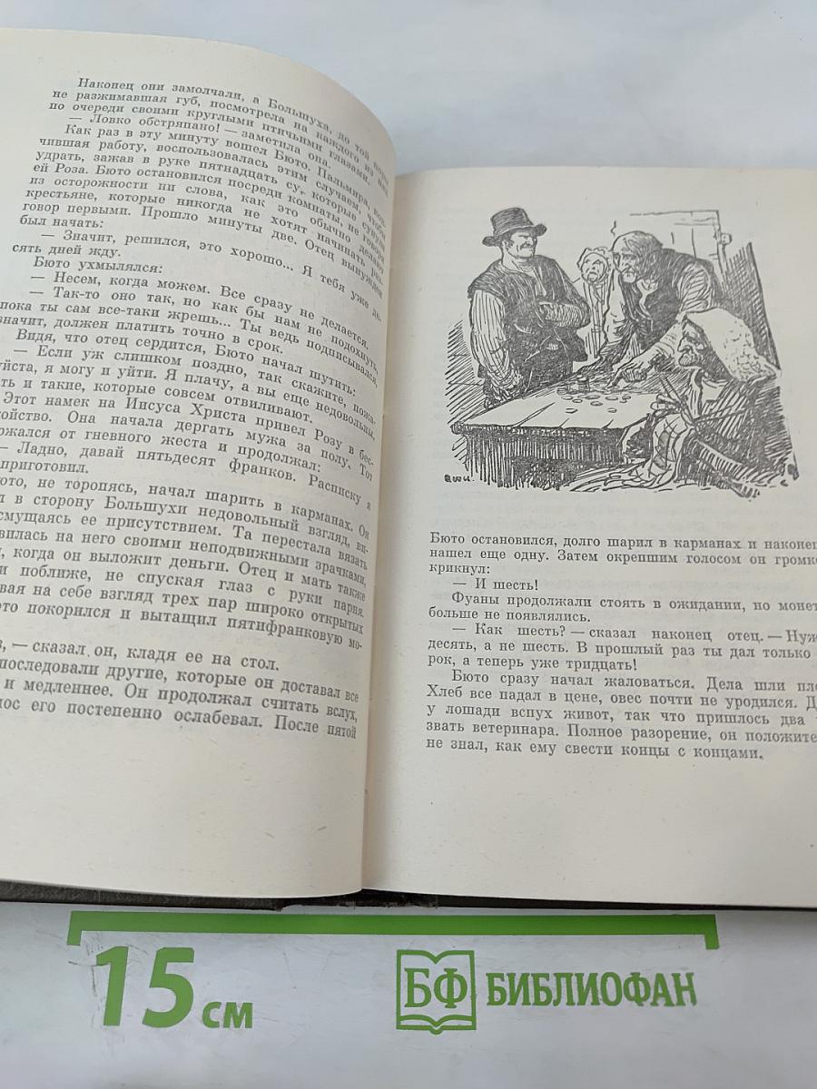 Собрание сочинений. Том двенадцатый. Земля