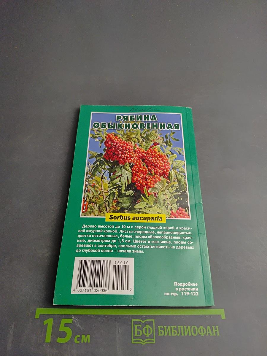 Предупреждение Плюс. Осенняя профилактика