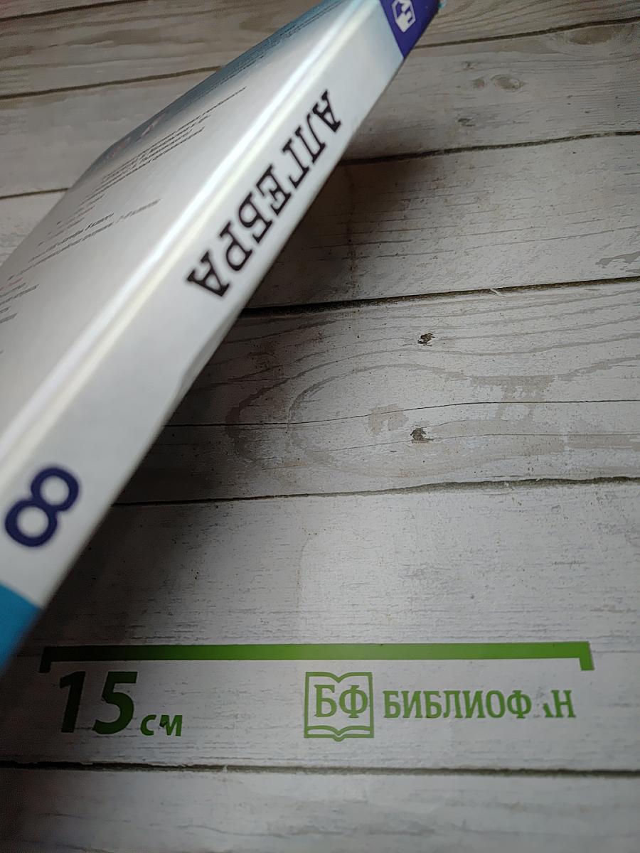 Алгебра 8 класс