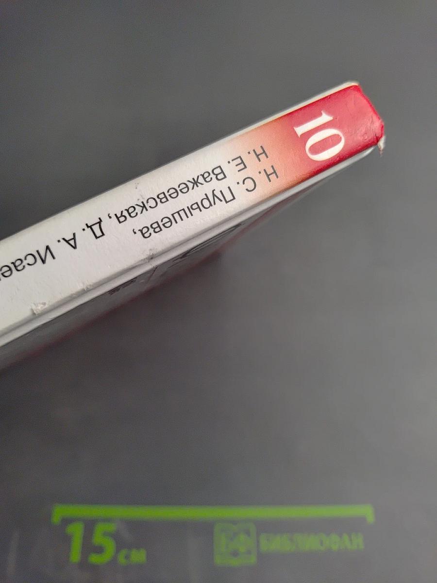 Физика 10 класс