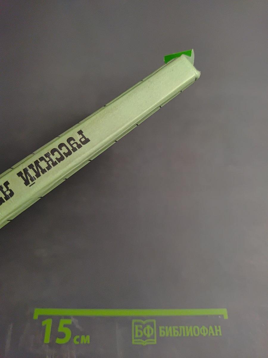 Русский язык 9 класс