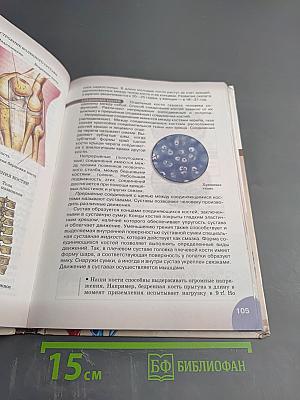 Биология. Человек. 8 класс