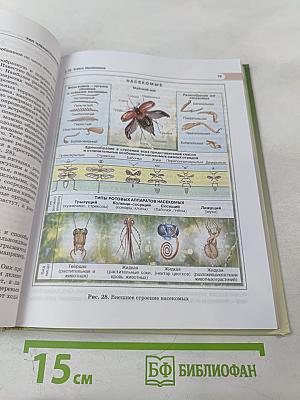 Биология. Живые организмы. Животные. 7 класс
