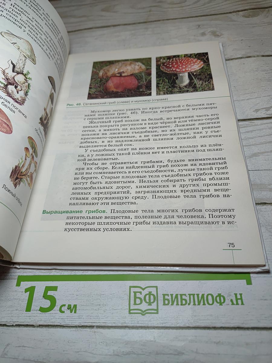 Биология. Бактерии, грибы, растения. 5 класс
