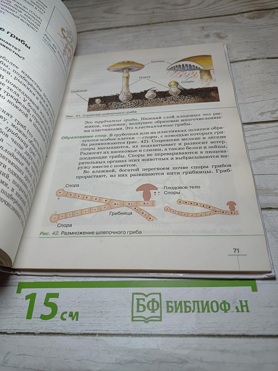 Биология. Бактерии, грибы, растения. 5 класс