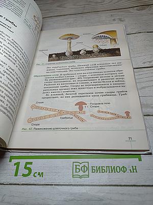 Биология. Бактерии, грибы, растения. 5 класс