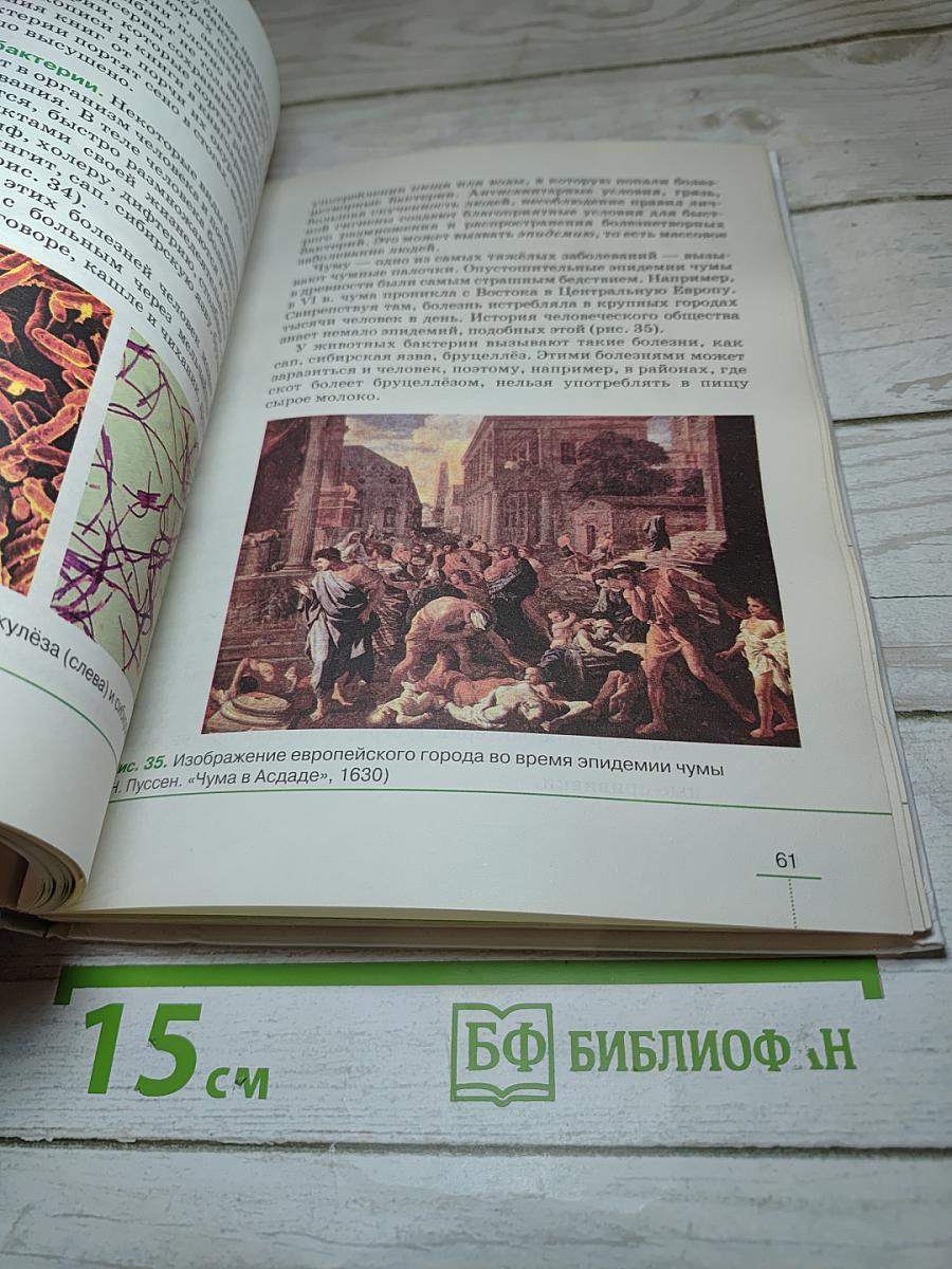 Биология. Бактерии, грибы, растения. 5 класс