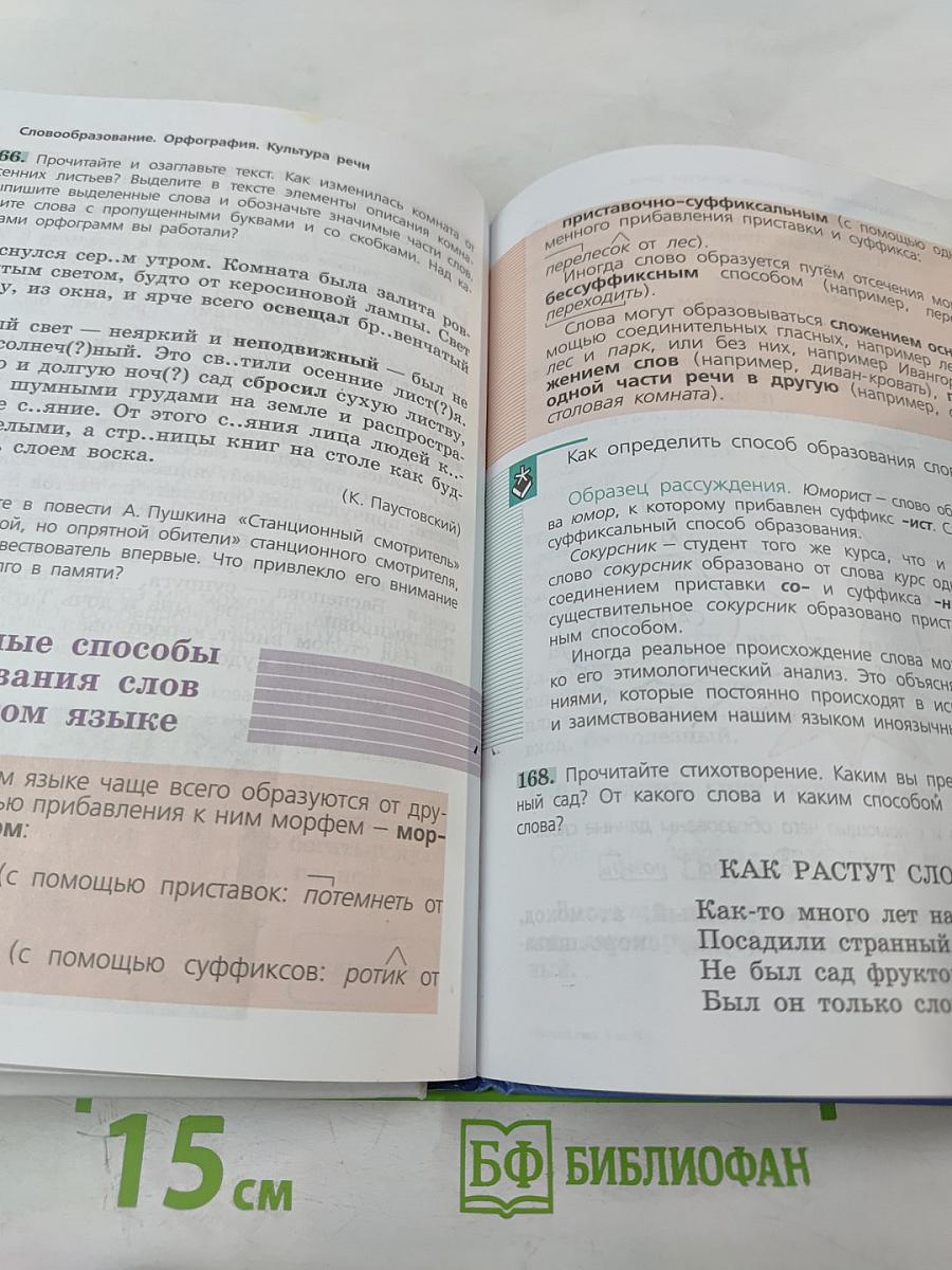 Русский язык 6 класс. Часть 1