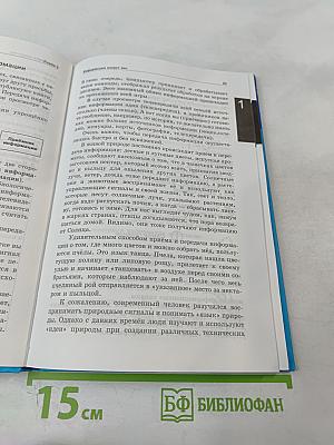 Информатика и ИКТ, 5 класс