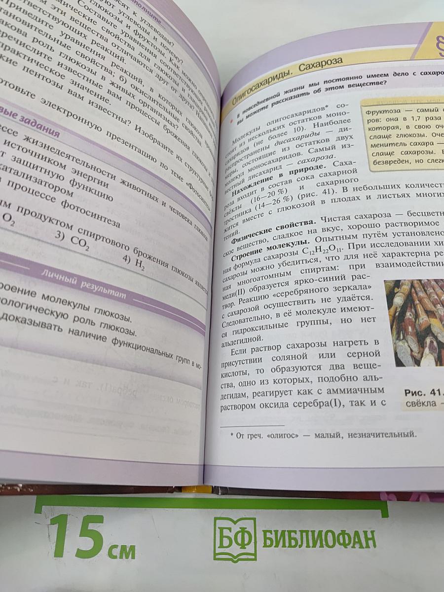 Химия 10 класс. Учебник для общеобразовательных организаций. Базовый уровень
