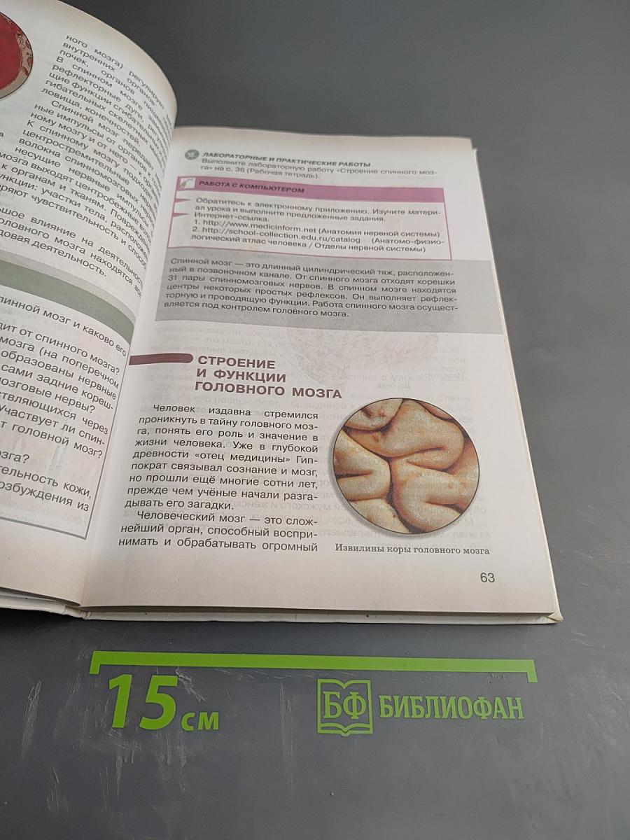 Биология Человек 9 класс