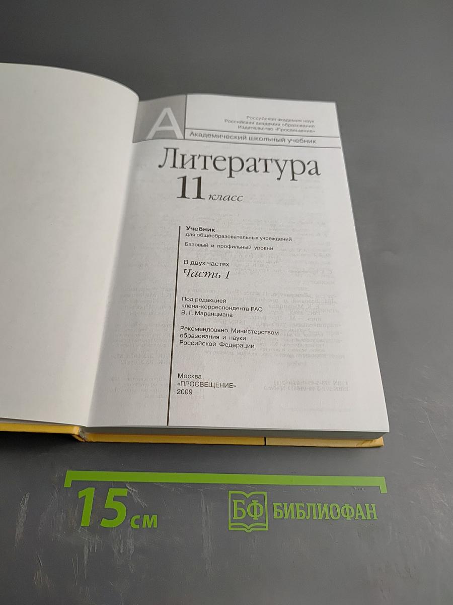 Литература 11 класс, Часть 1