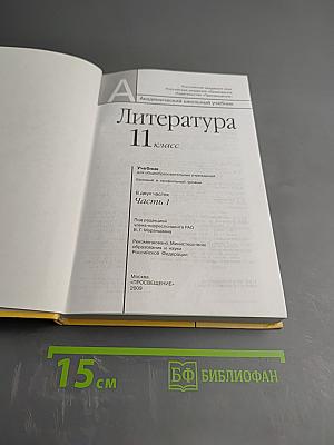 Литература 11 класс, Часть 1