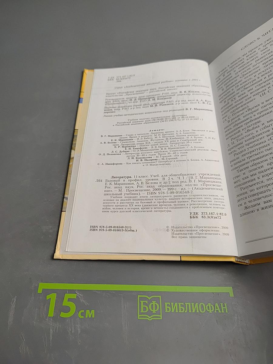 Литература 11 класс, Часть 1