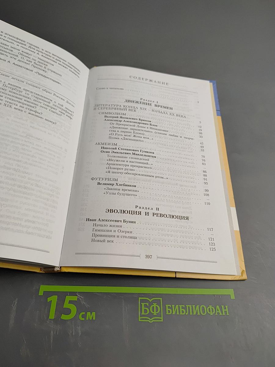 Литература 11 класс, Часть 1