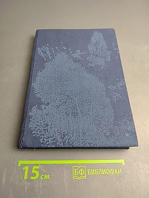 Taucher am Korallenriff