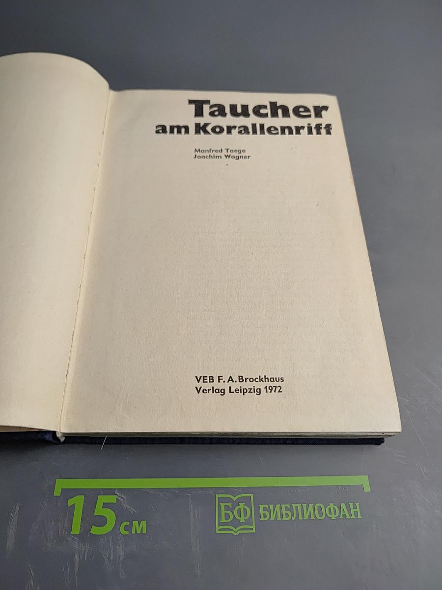 Taucher am Korallenriff