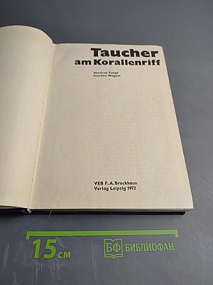 Taucher am Korallenriff