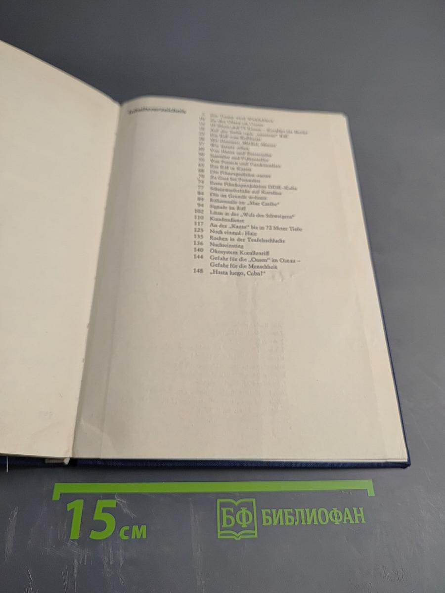 Taucher am Korallenriff