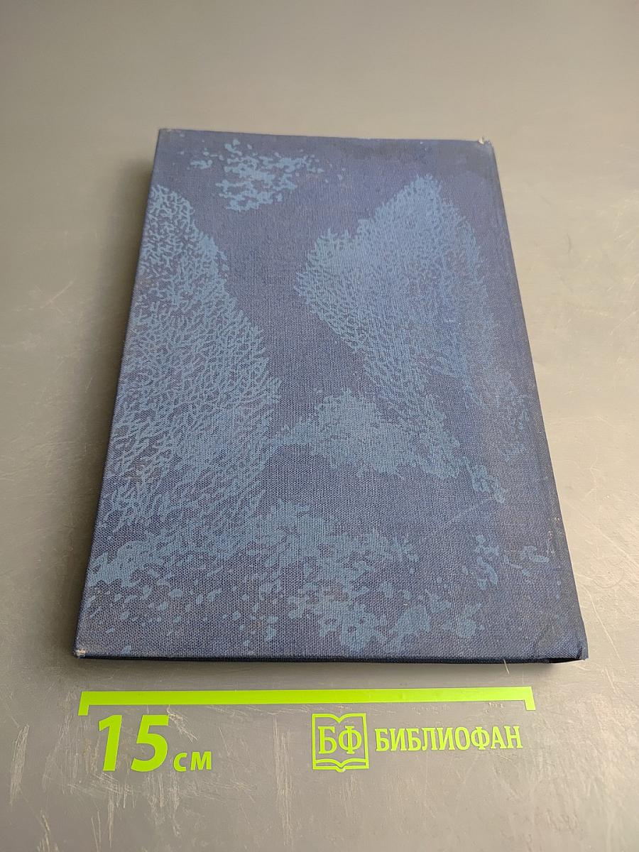 Taucher am Korallenriff