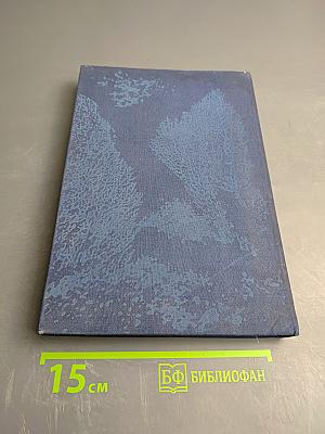 Taucher am Korallenriff