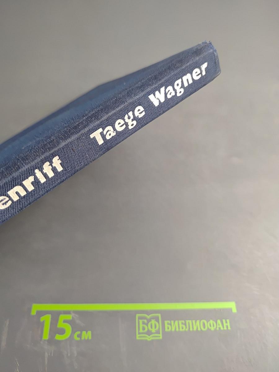 Taucher am Korallenriff