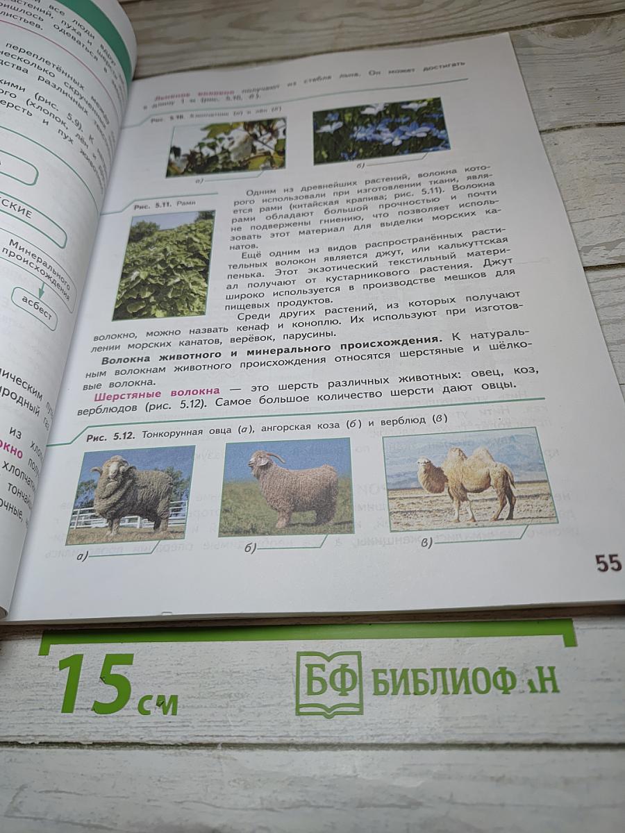 Технология. 5 класс