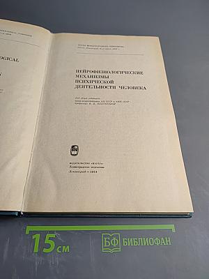 Нейрофизиологические механизмы психической деятельности человека