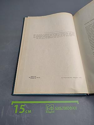 Нейрофизиологические механизмы психической деятельности человека