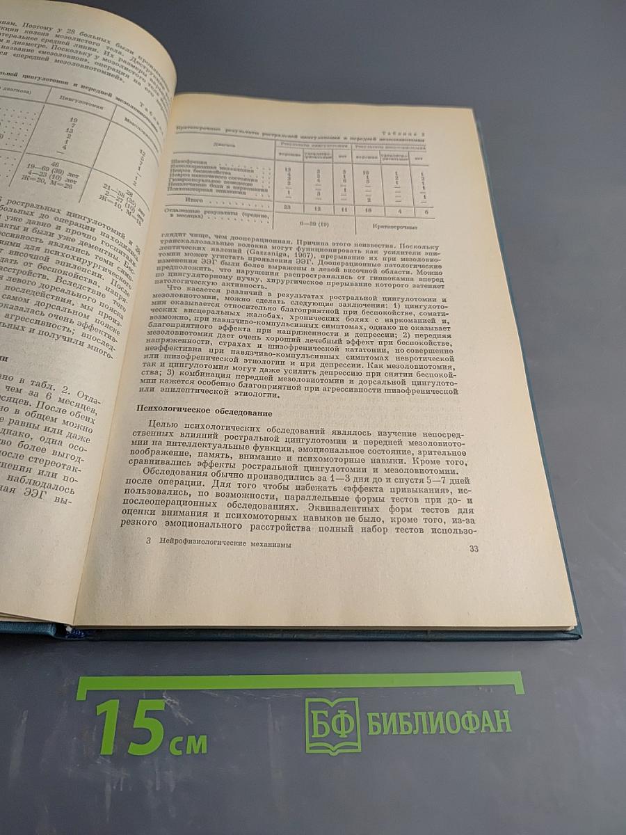 Нейрофизиологические механизмы психической деятельности человека