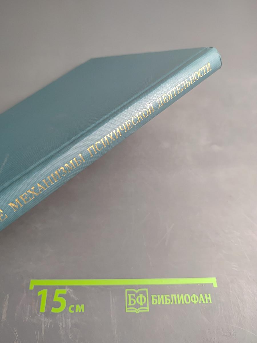 Нейрофизиологические механизмы психической деятельности человека