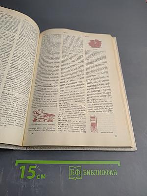 Краткий толковый словарь русского языка