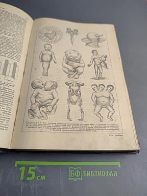 Малая Советская Энциклопедия Том Девятый