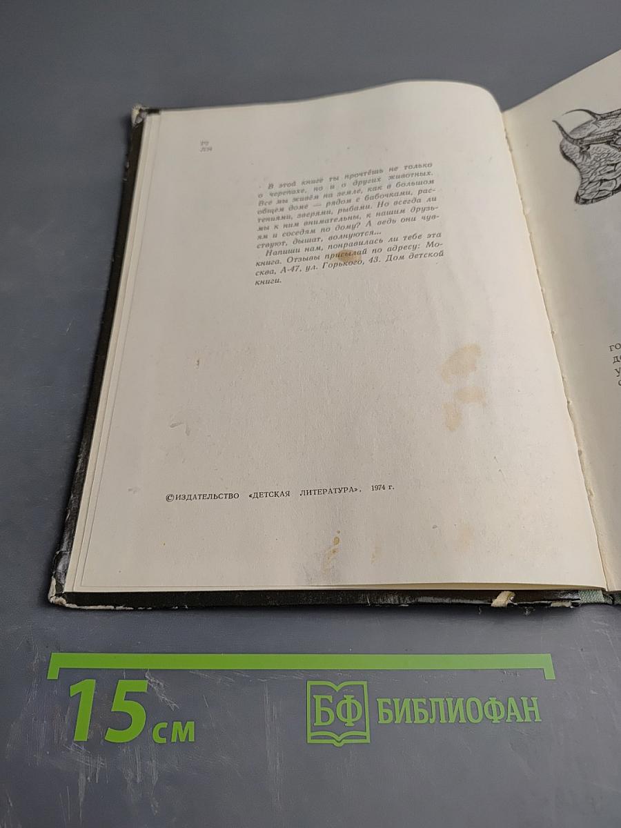 Пять дней из жизни черепахи