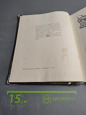 Пять дней из жизни черепахи