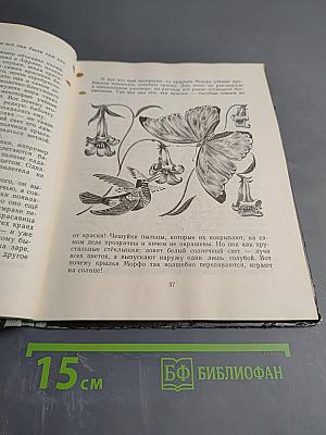 Пять дней из жизни черепахи