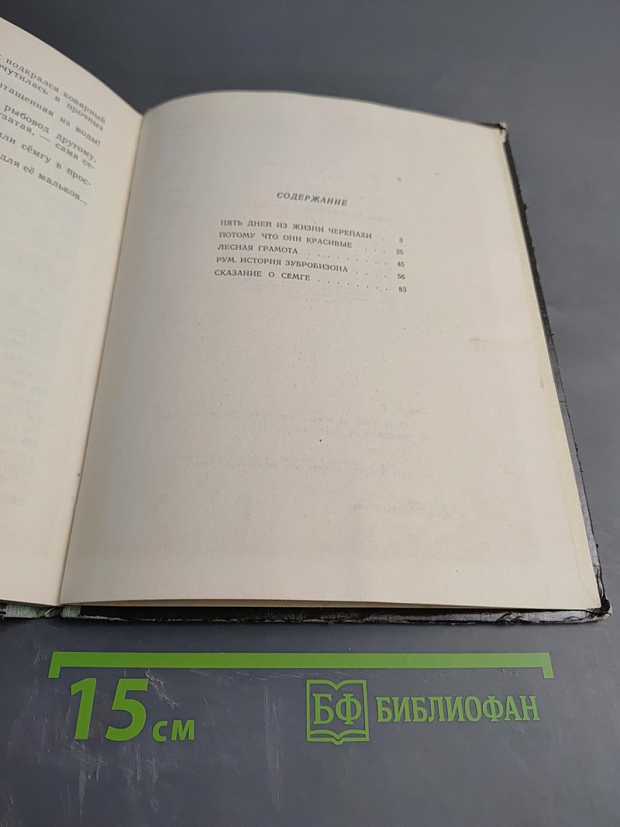 Пять дней из жизни черепахи