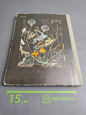 Пять дней из жизни черепахи