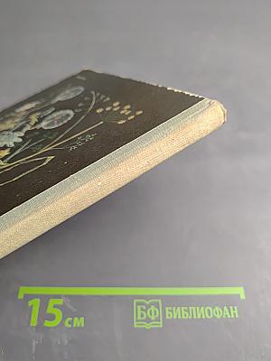 Пять дней из жизни черепахи