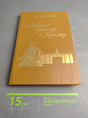 Лавиной грозной к Бресту