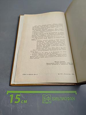 Лавиной грозной к Бресту