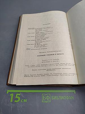 Лавиной грозной к Бресту