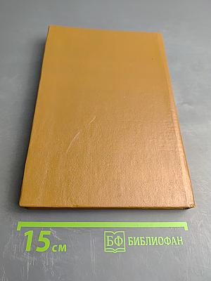 Лавиной грозной к Бресту