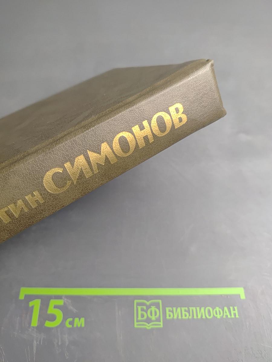 Живые и мертвые. Книга третья. Последнее лето