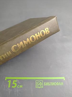 Живые и мертвые. Книга третья. Последнее лето