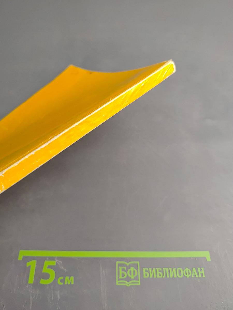 Практическая астрология, или Искусство предвидения и противостояния судьбе. В 5-и книгах. Книга первая, вторая