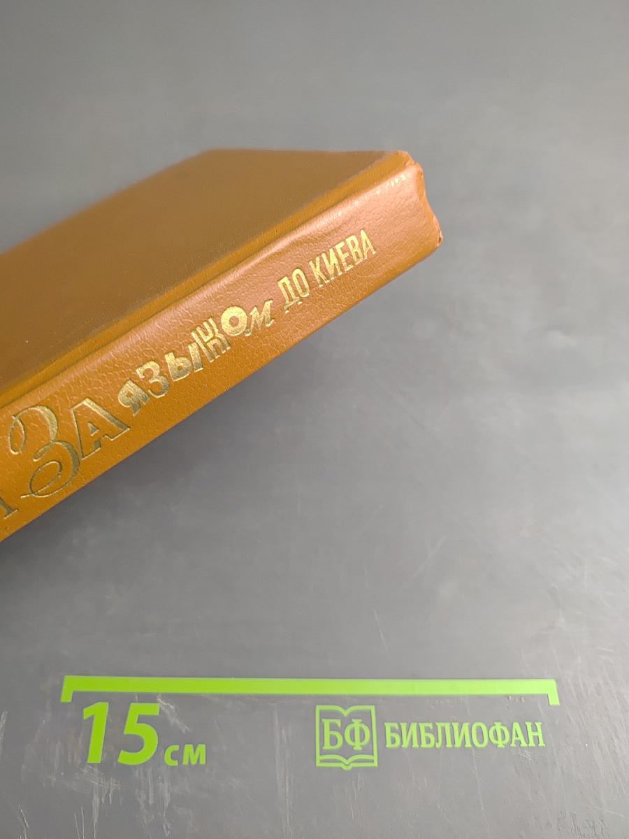 За языком до Киева